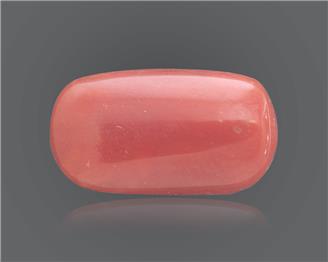 Red Coral (Moonga) Natural Certified 6.66 Ratti ( 84716 )